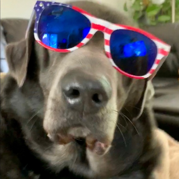 Meet your Posher, Brix, Tec & Trip - Picture 6 of 9